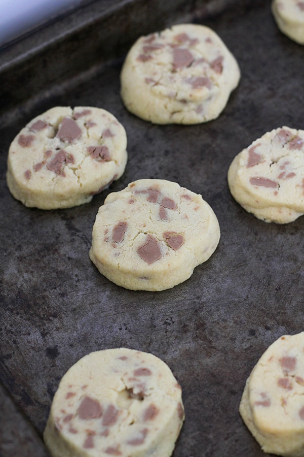 choc chip shortbread cookies on a baking dish.